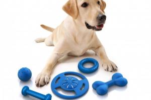 игрушки для собак